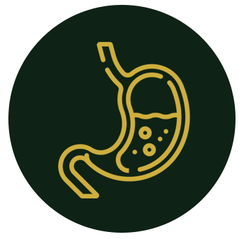 stomach-icon-01